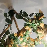 Butterfly לינה וארוחת בוקר