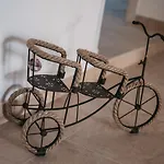 Butterfly לינה וארוחת בוקר לצ'ה