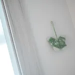 Butterfly לינה וארוחת בוקר לצ'ה